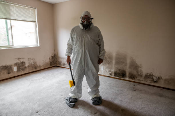 Best Water Damage & Mold Remediation  in Shortsville, NY