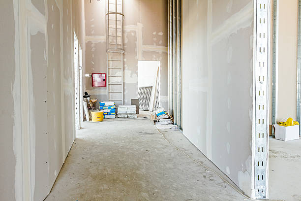 Best Mold Odor Removal Services  in Shortsville, NY