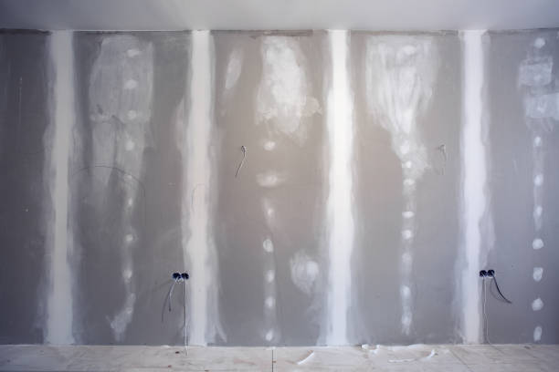 Best Asbestos and Lead Testing During Mold Inspection  in Shortsville, NY